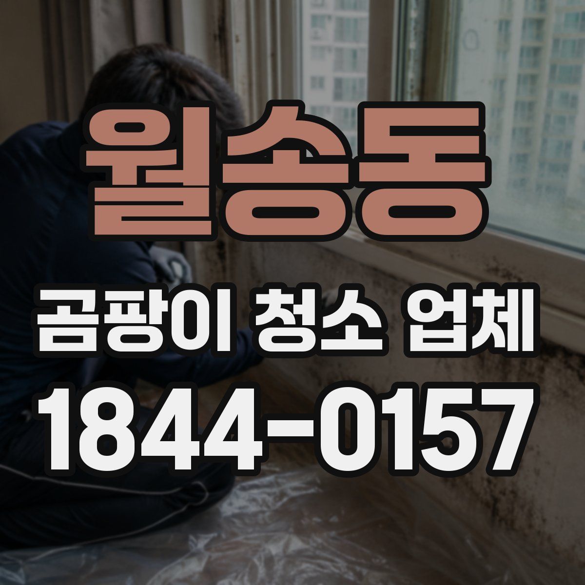 월송동 곰팡이 청소 업체