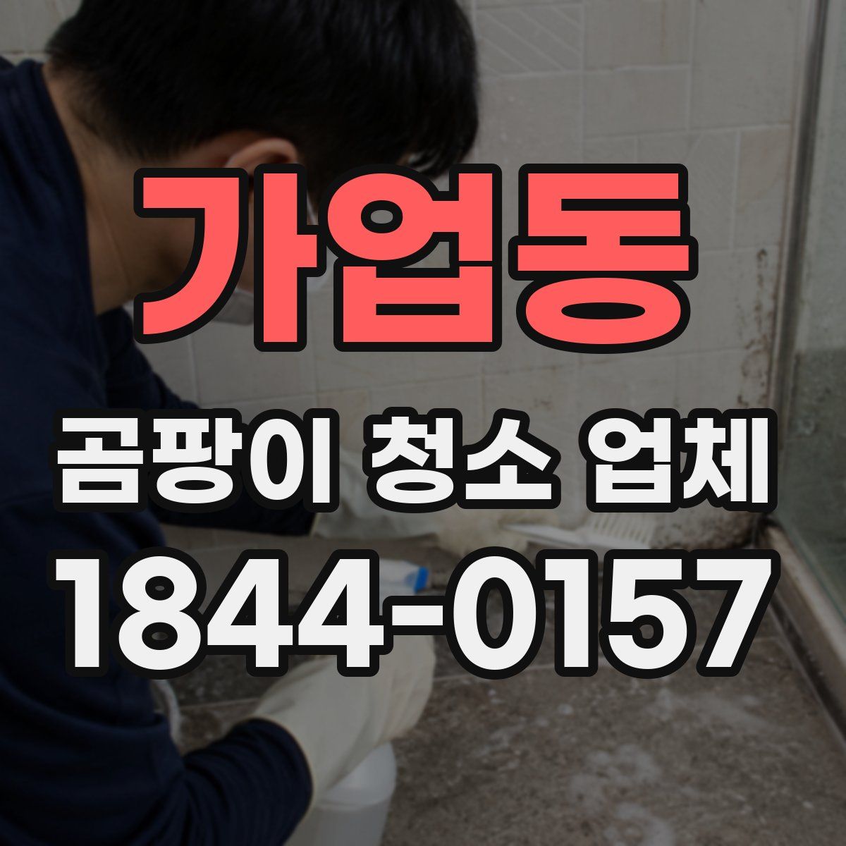 가업동 곰팡이 청소 업체