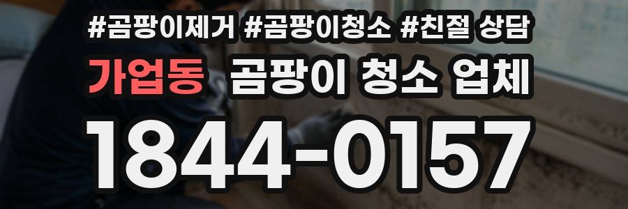 가업동 곰팡이 청소 업체