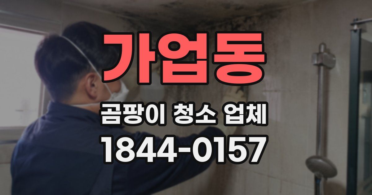 가업동 곰팡이 청소 업체