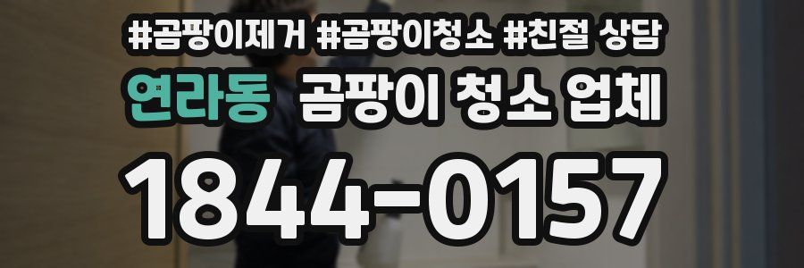 연라동 곰팡이 청소 업체
