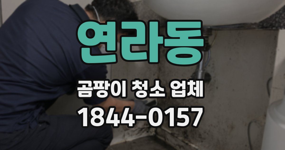 연라동 곰팡이 청소 업체