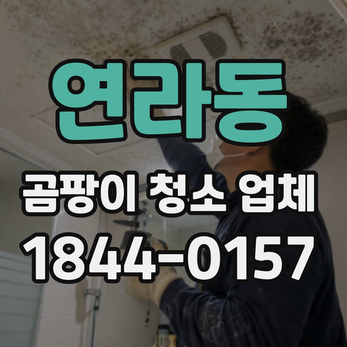 연라동 곰팡이 청소 업체