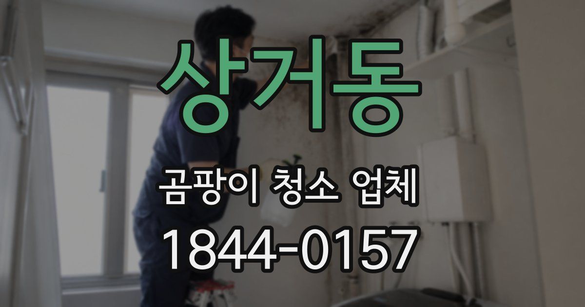 상거동 곰팡이 청소 업체
