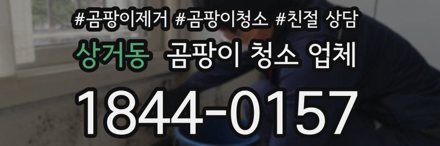 상거동 곰팡이 청소 업체