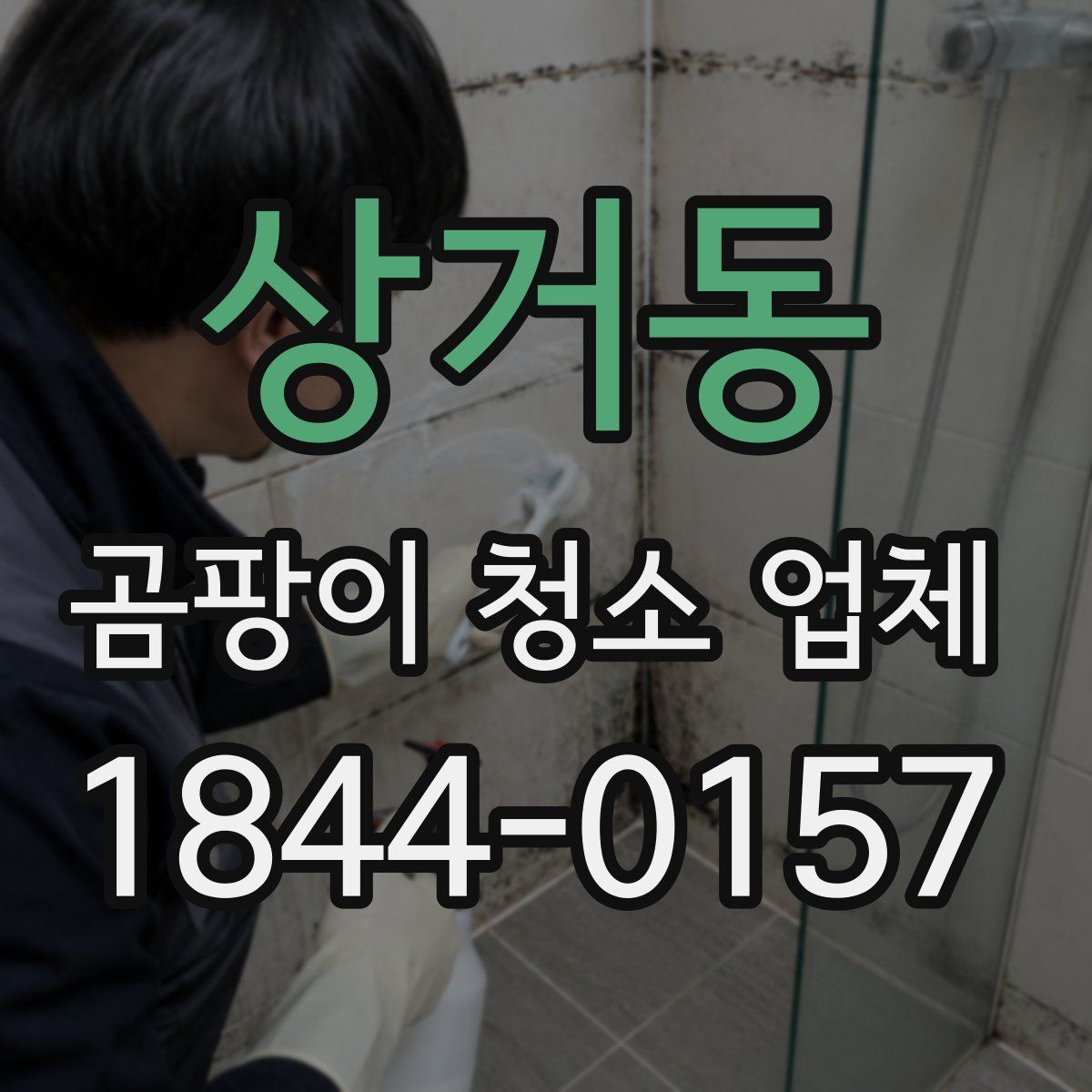 상거동 곰팡이 청소 업체