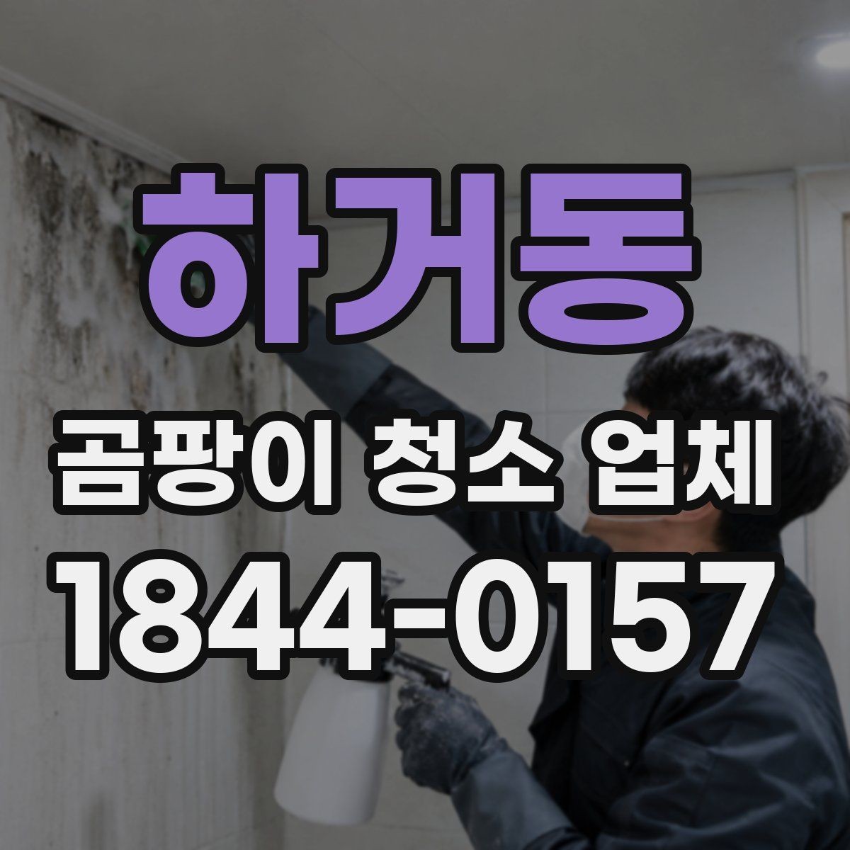 하거동 곰팡이 청소 업체 이용 시 피해야 할 실수