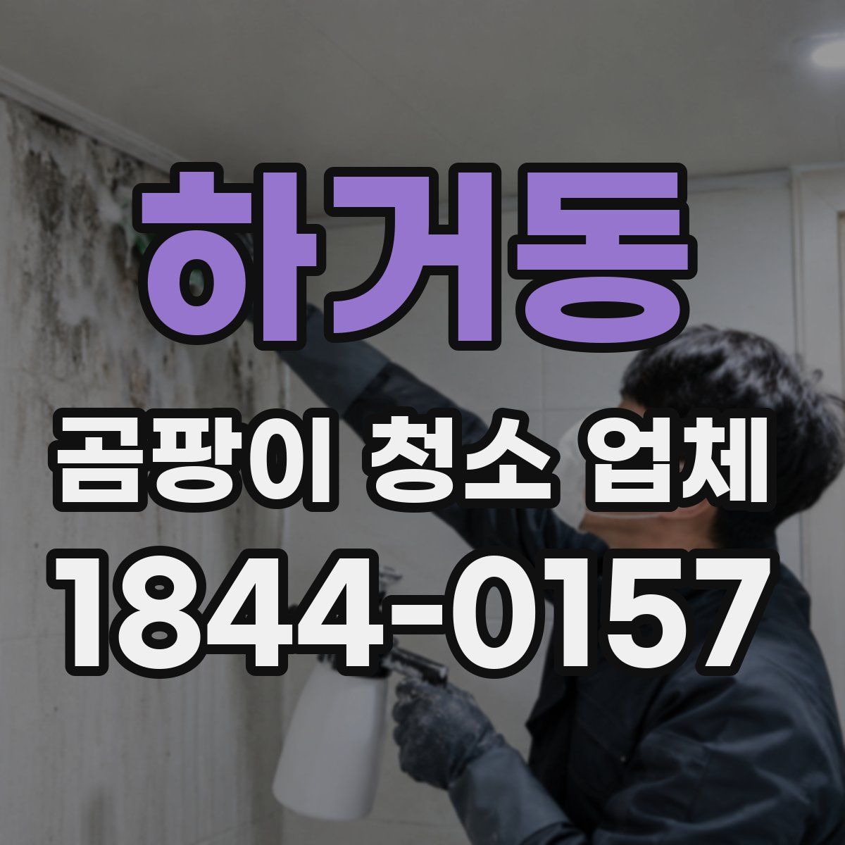 하거동 곰팡이 청소 업체