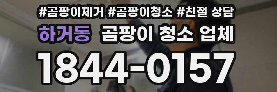 하거동 곰팡이 청소 업체