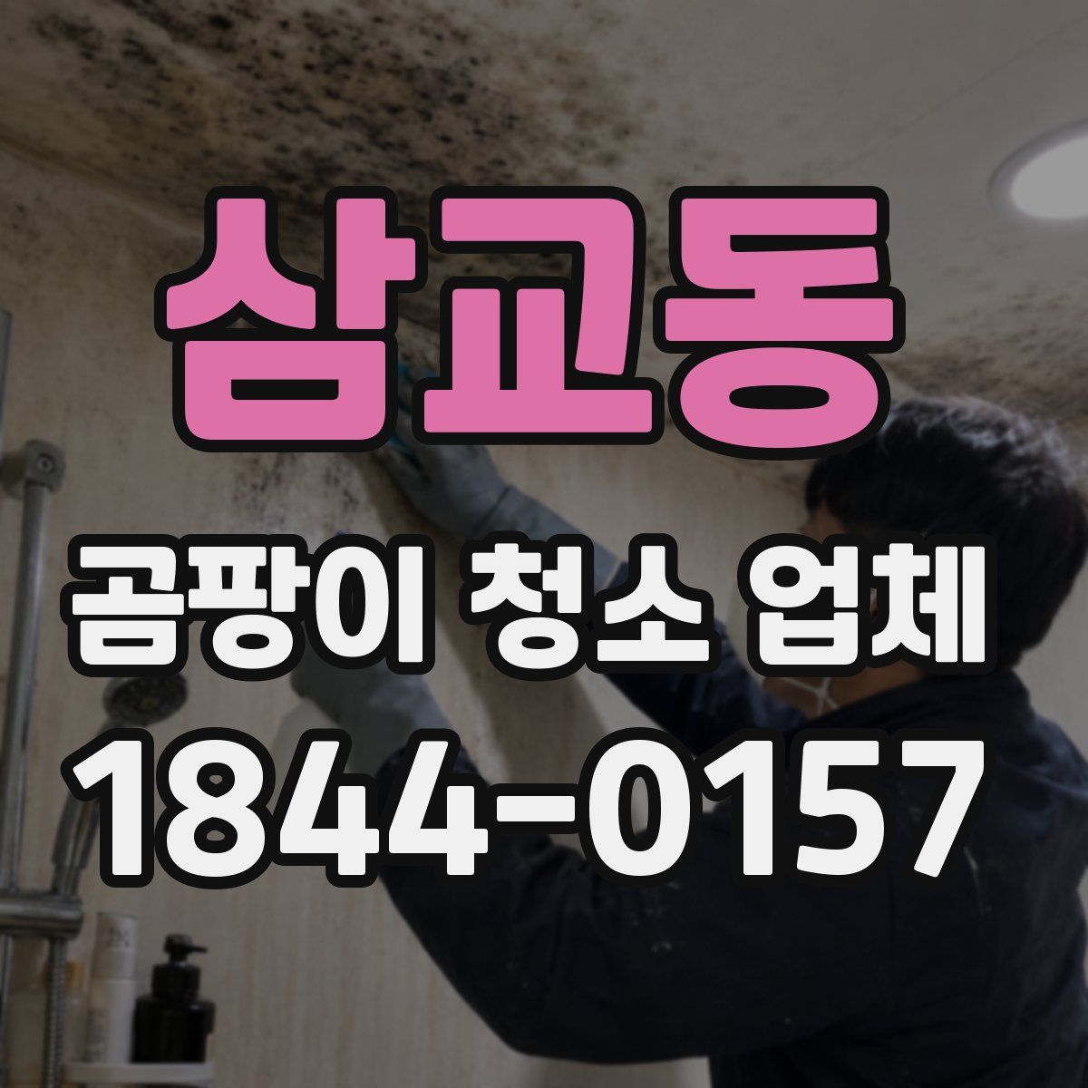 삼교동 곰팡이 청소 업체