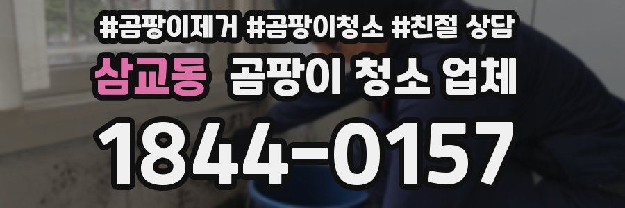 삼교동 곰팡이 청소 업체