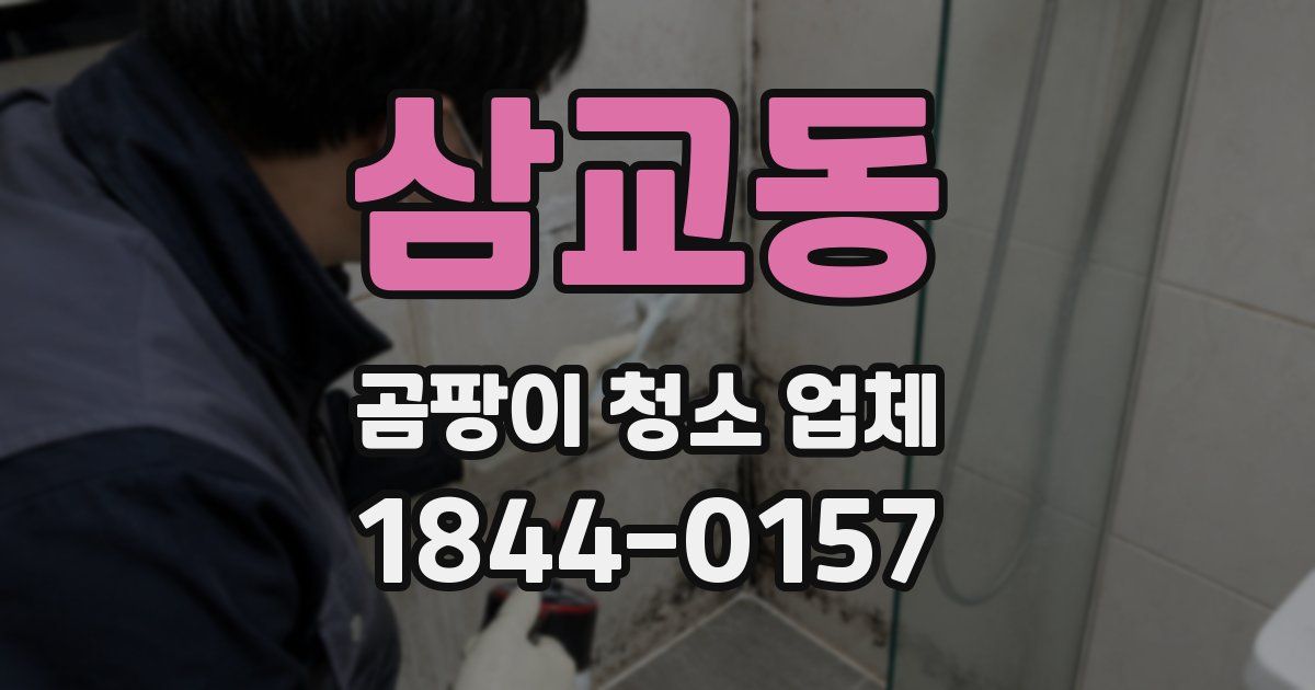 삼교동 곰팡이 청소 업체