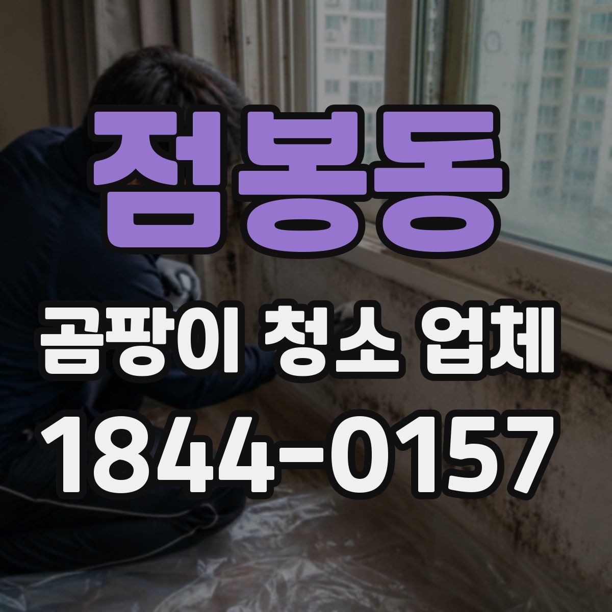 점봉동 곰팡이 청소 업체