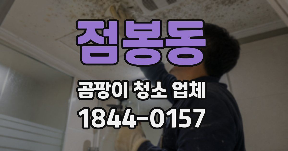 점봉동 곰팡이 청소 업체
