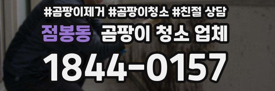 점봉동 곰팡이 청소 업체