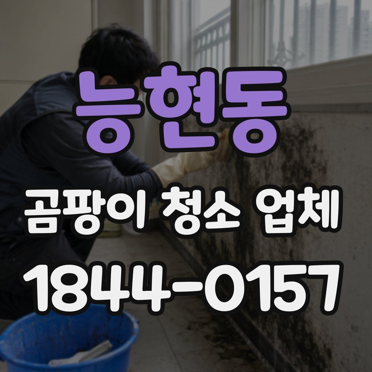 능현동 곰팡이 청소 업체 진행 시 자주 생기는 궁금증