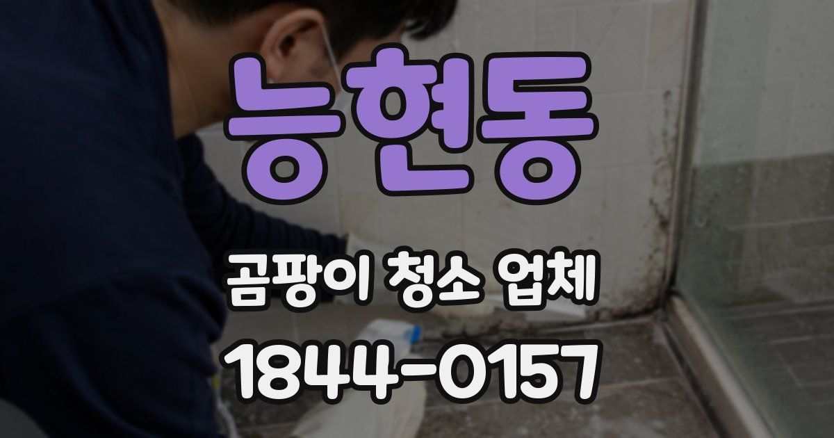 능현동 곰팡이 청소 업체