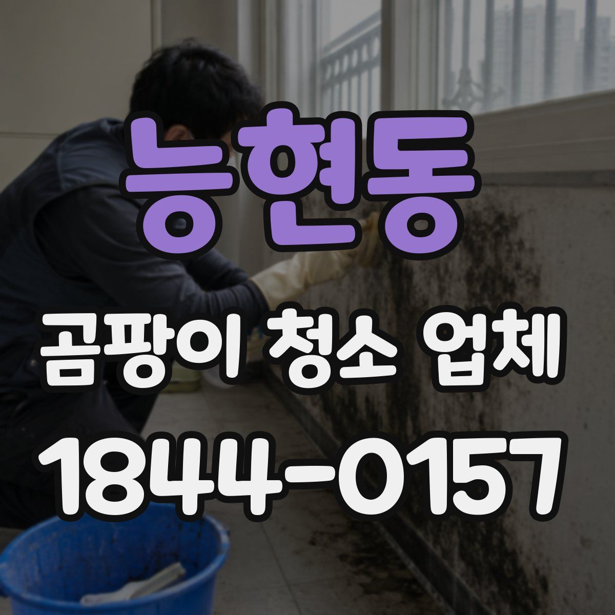 능현동 곰팡이 청소 업체