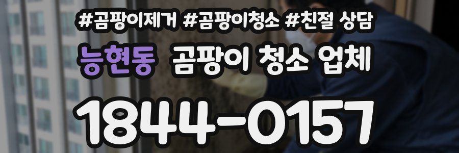 능현동 곰팡이 청소 업체