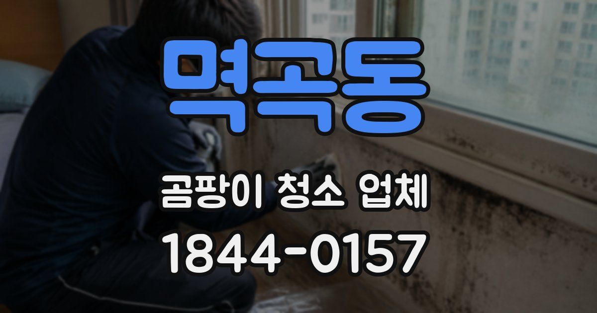 멱곡동 곰팡이 청소 업체