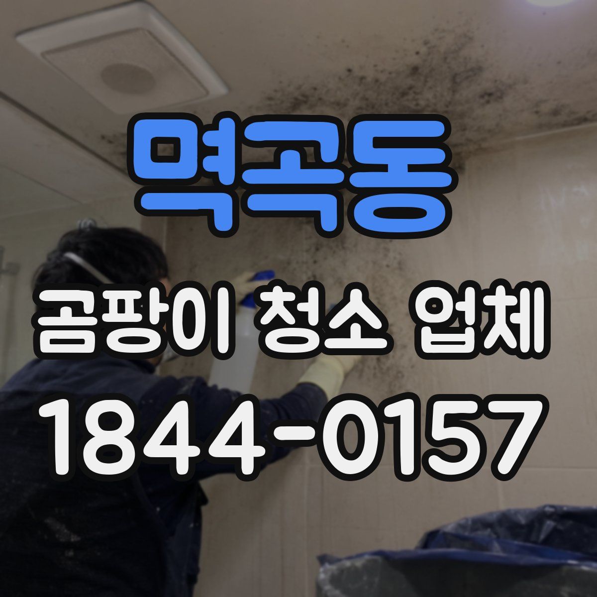 멱곡동 곰팡이 청소 업체