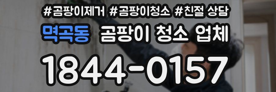 멱곡동 곰팡이 청소 업체