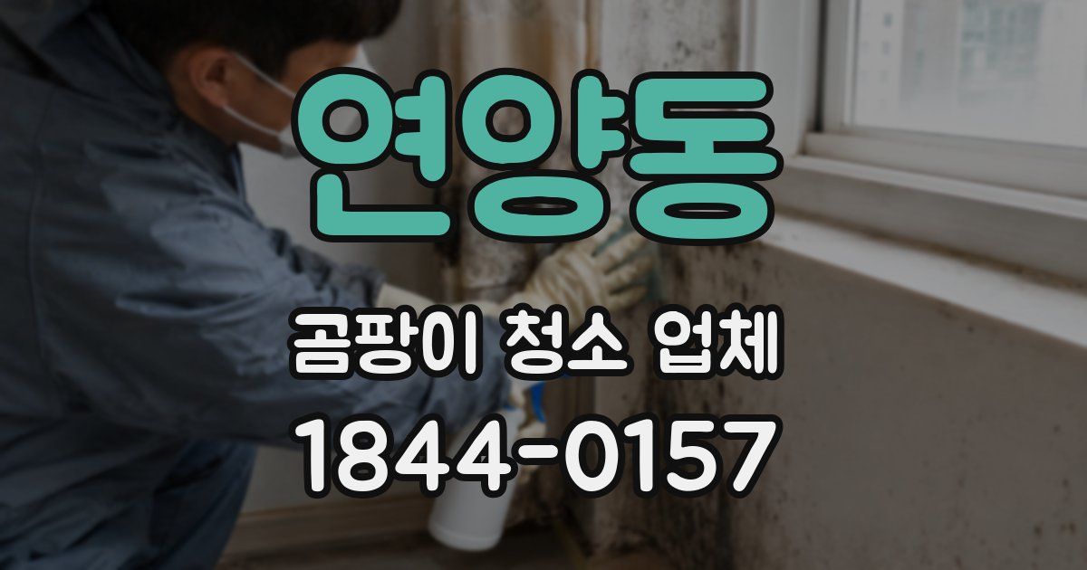 연양동 곰팡이 청소 업체