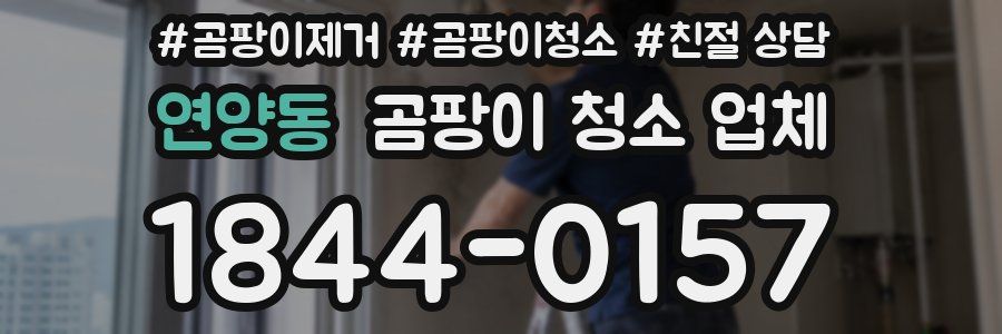 연양동 곰팡이 청소 업체
