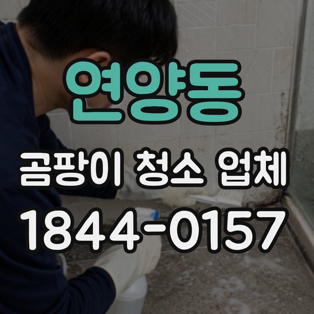 연양동 곰팡이 청소 업체