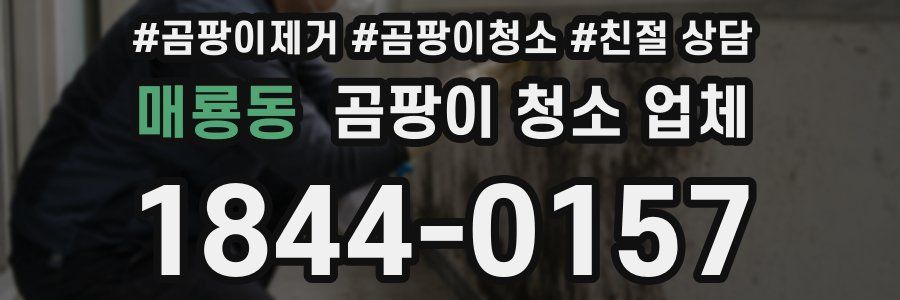 매룡동 곰팡이 청소 업체