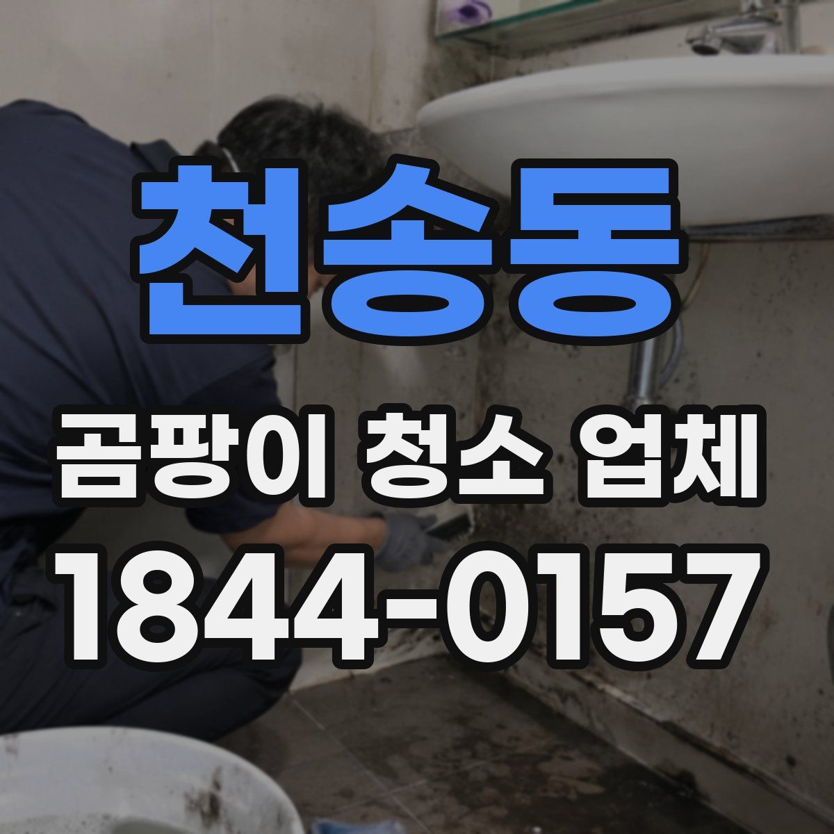 천송동 곰팡이 청소 업체