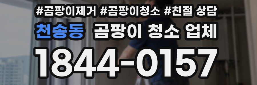 천송동 곰팡이 청소 업체
