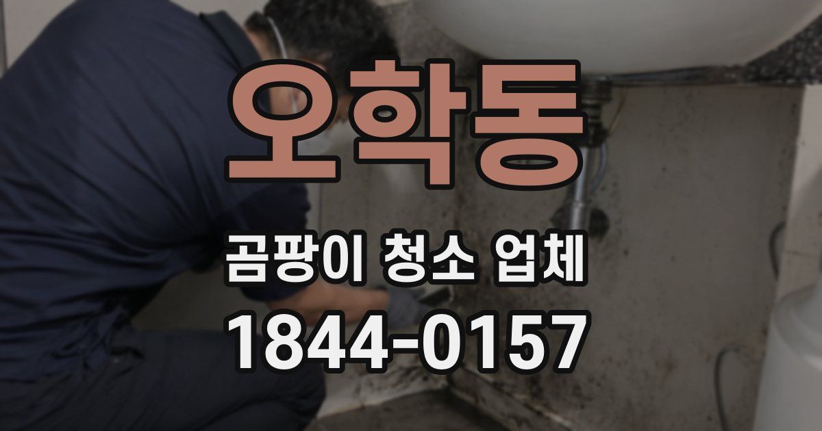 오학동 곰팡이 청소 업체