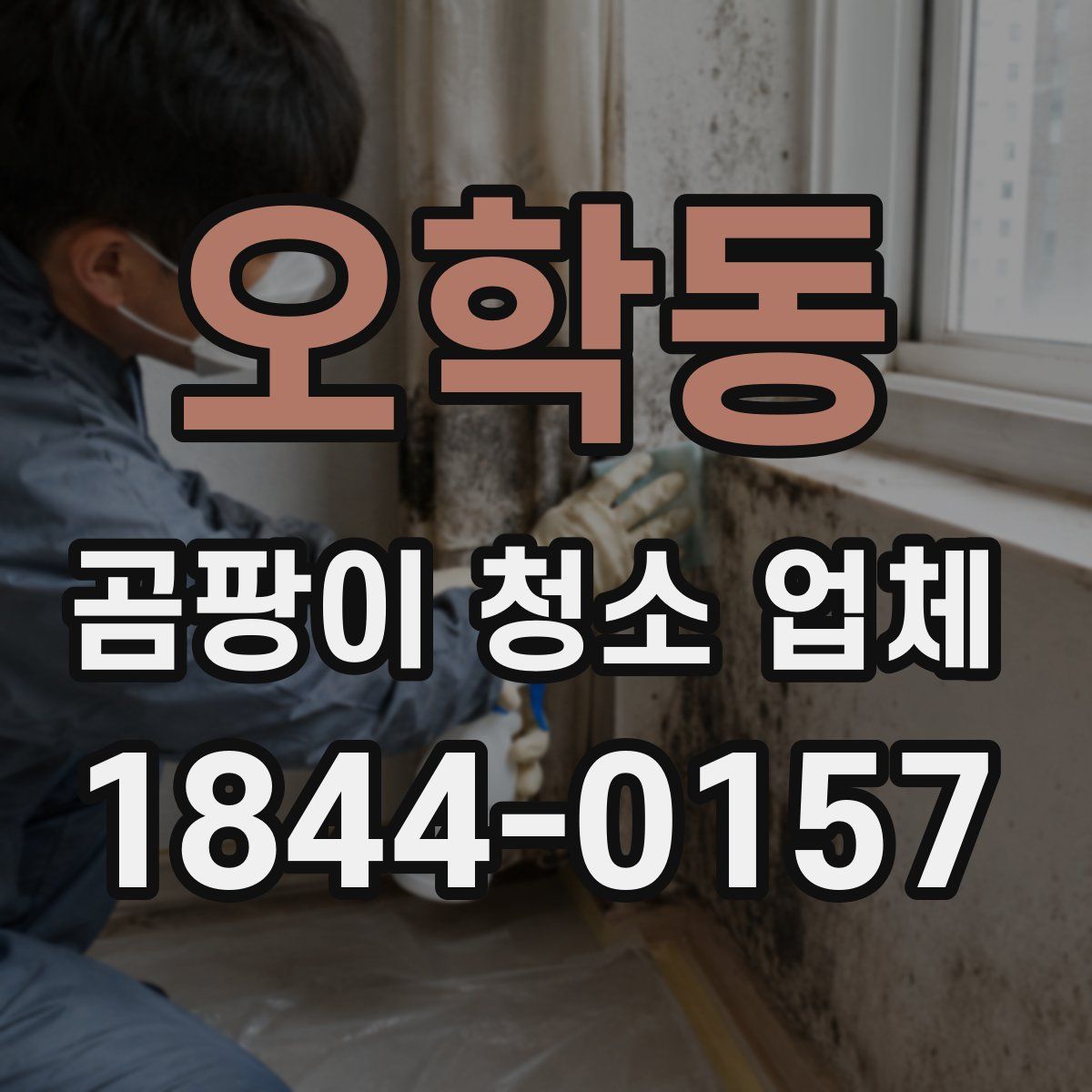 오학동 곰팡이 청소 업체