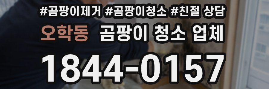 오학동 곰팡이 청소 업체