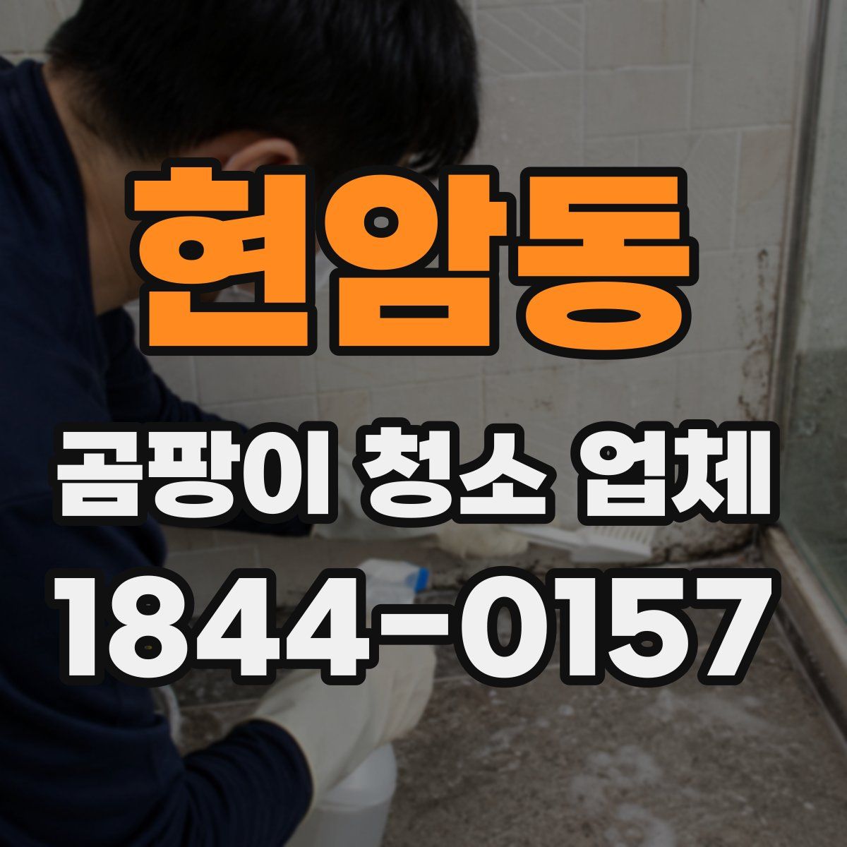 현암동 곰팡이 청소 업체