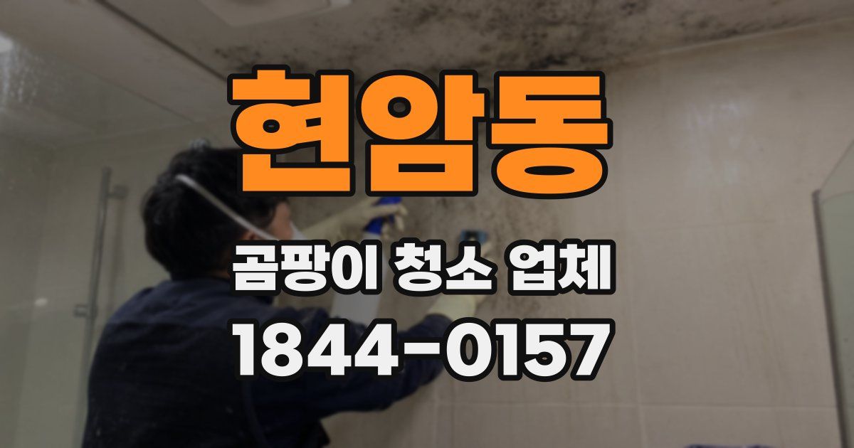 현암동 곰팡이 청소 업체
