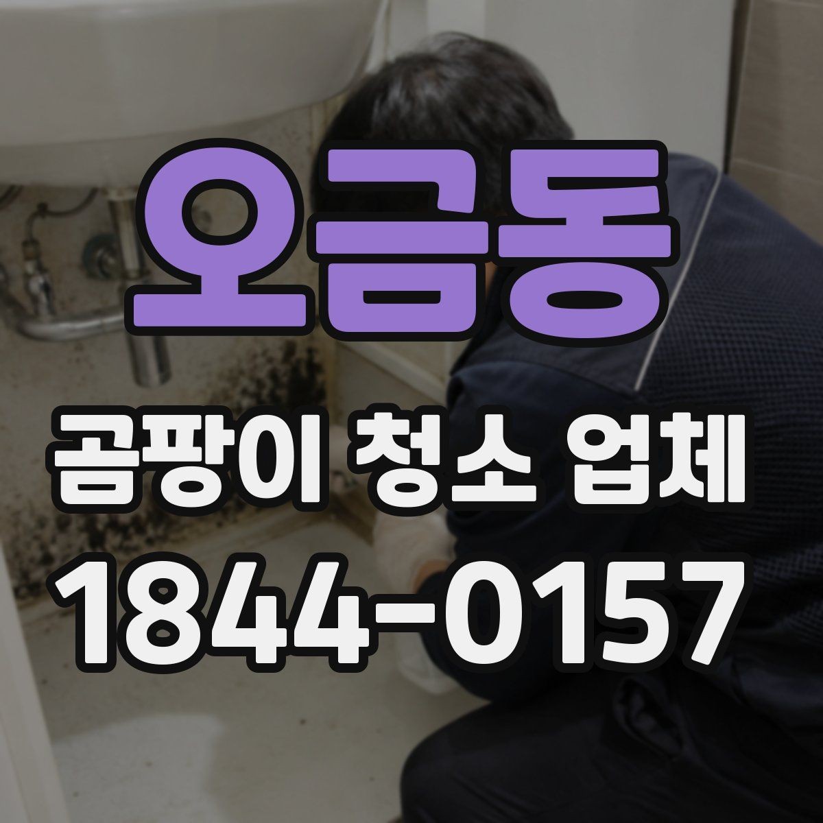 오금동 곰팡이 청소 업체 선택할 때 확인할 기준