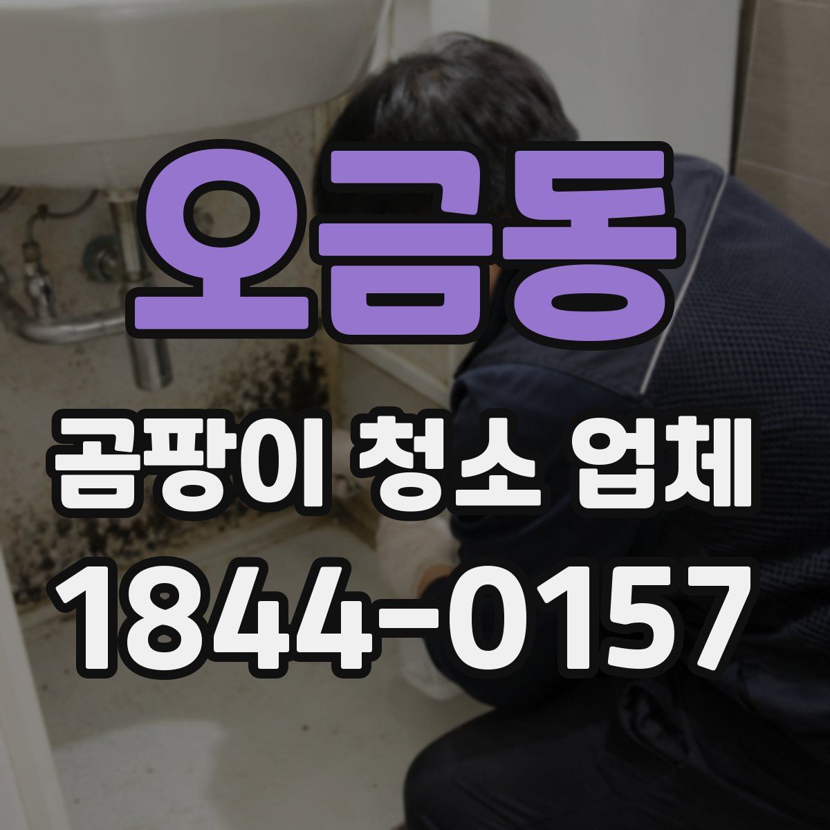 오금동 곰팡이 청소 업체