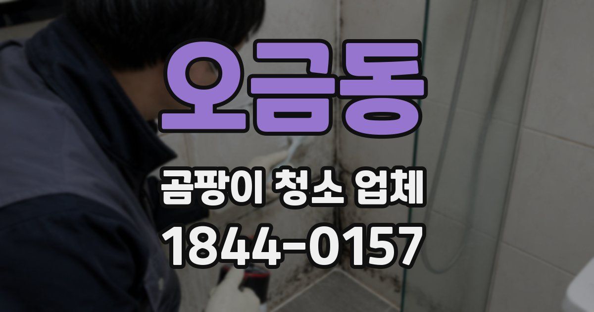 오금동 곰팡이 청소 업체