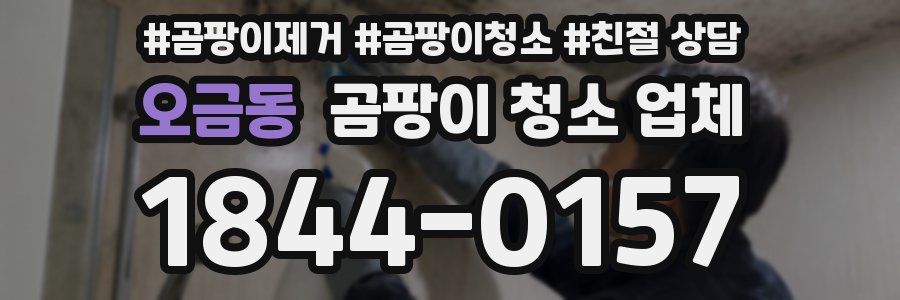 오금동 곰팡이 청소 업체