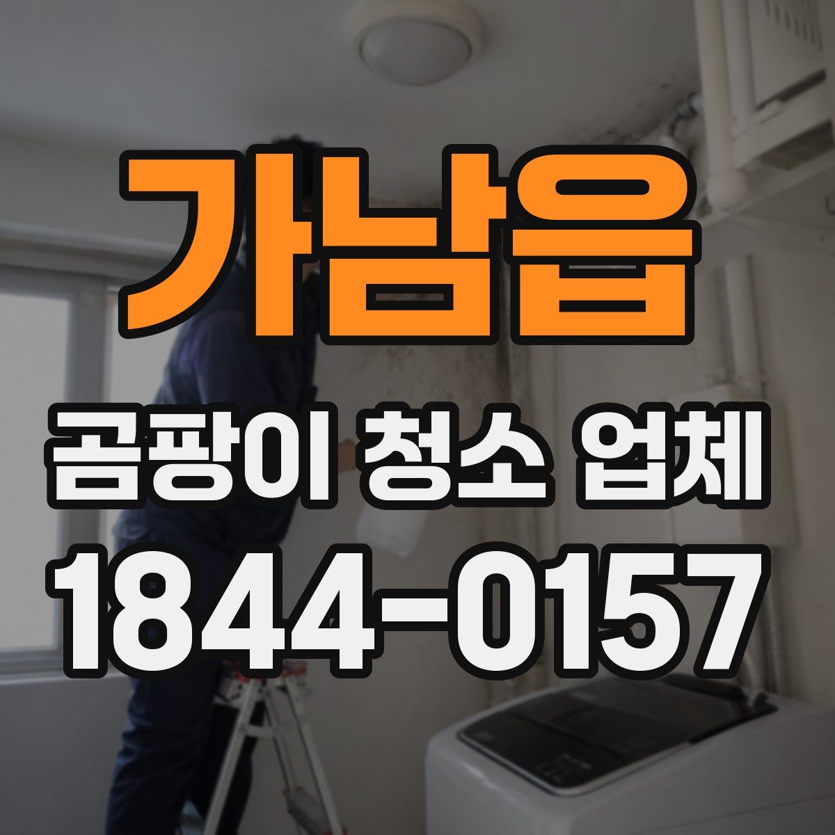 가남읍 곰팡이 청소 업체