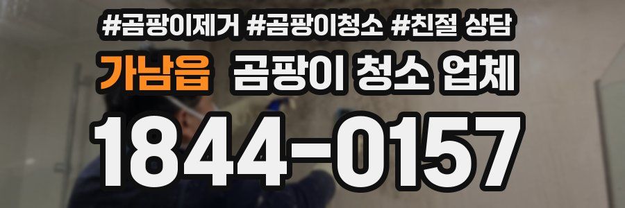 가남읍 곰팡이 청소 업체