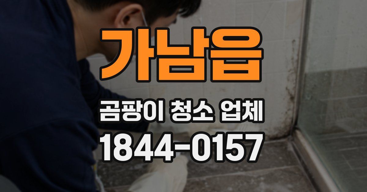가남읍 곰팡이 청소 업체