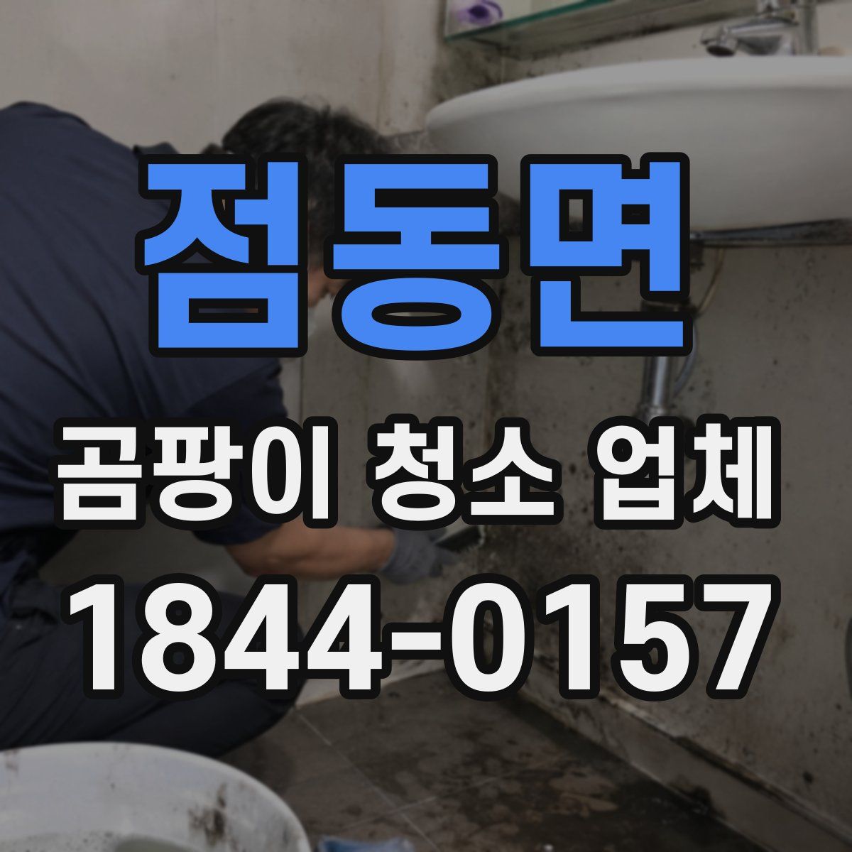 점동면 곰팡이 청소 업체