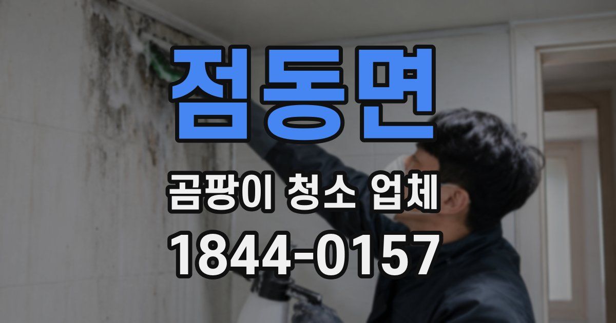 점동면 곰팡이 청소 업체