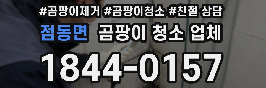 점동면 곰팡이 청소 업체