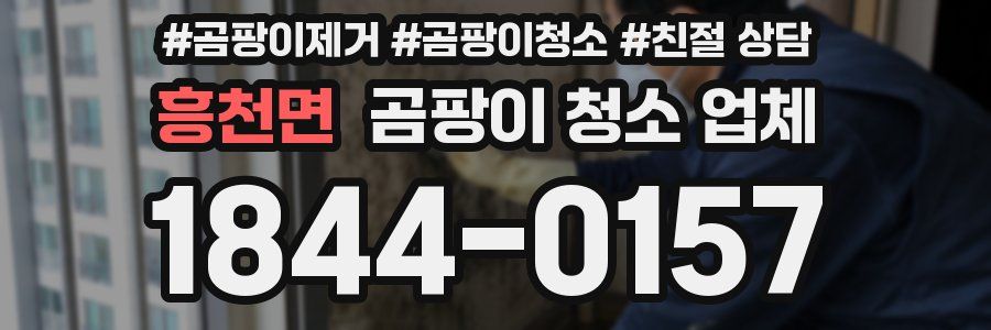 흥천면 곰팡이 청소 업체