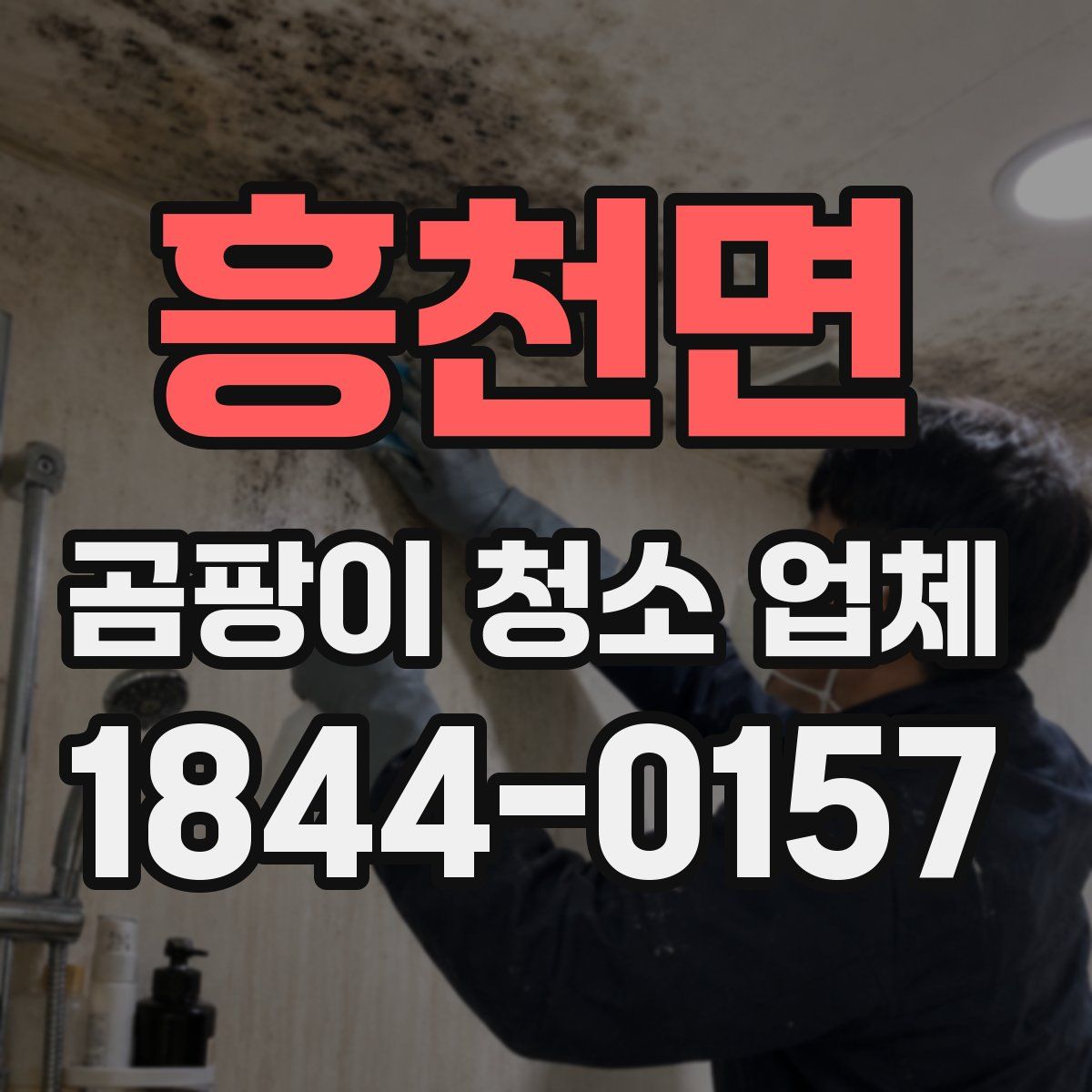 흥천면 곰팡이 청소 업체