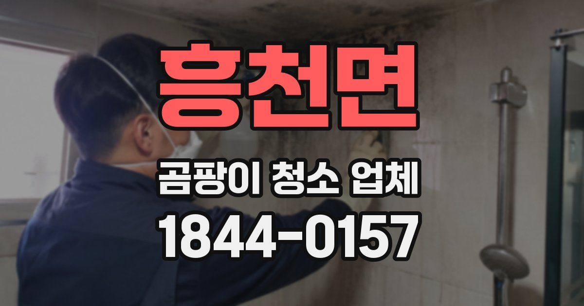 흥천면 곰팡이 청소 업체